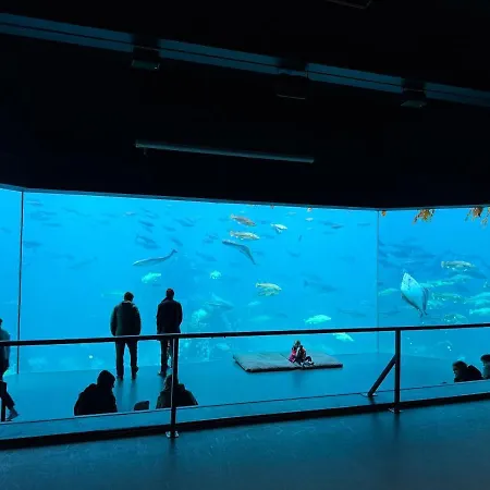 Daire Attractive And Ålesund