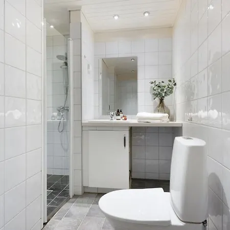 Attractive And Ålesund