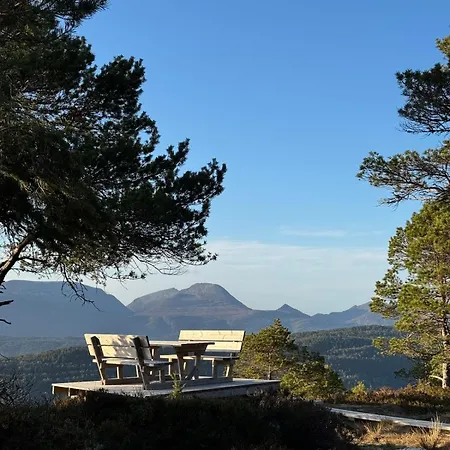 Attractive And * Ålesund