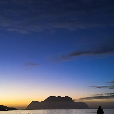 Attractive And * Alesund