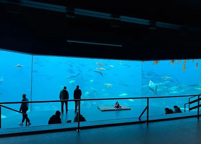 Lägenhet Attractive And Ålesund