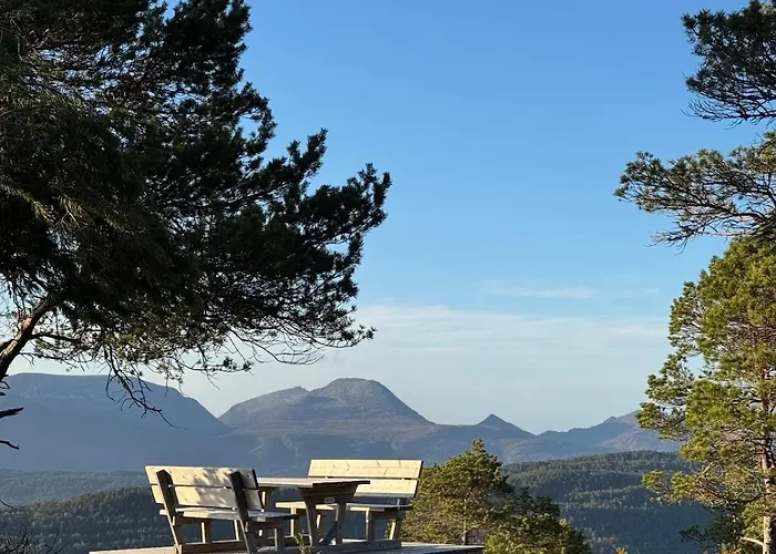 Attractive And * Ålesund