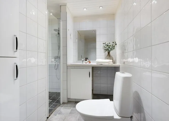 Attractive And Ålesund